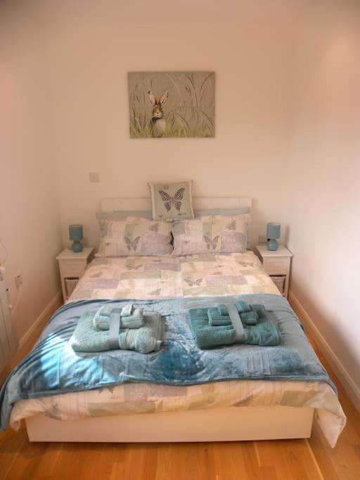 Oakey Orchard - Cosy Apartment In Tamar Valley, Cornwall Saint Dominick Exterior photo