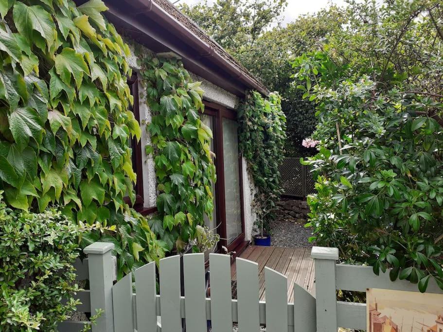Oakey Orchard - Cosy Apartment In Tamar Valley, Cornwall Saint Dominick Exterior photo